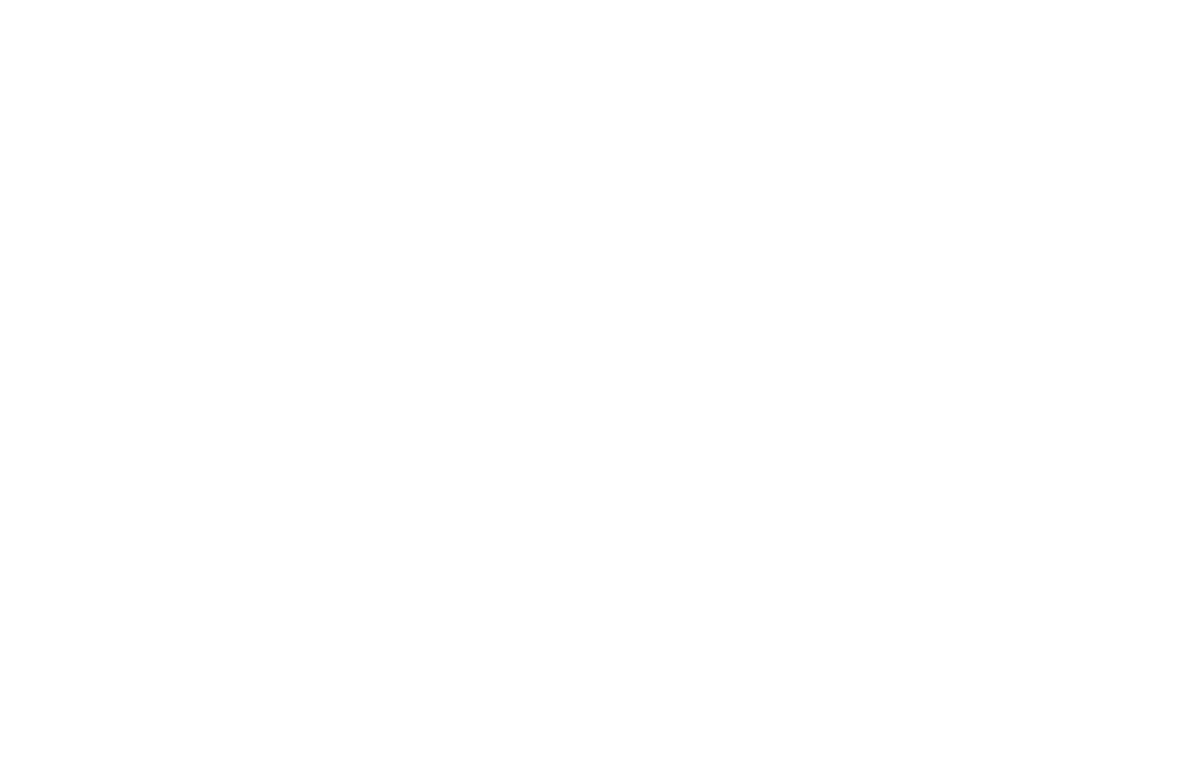 WHITE 2ND ZOE LOGO